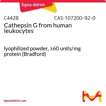 カテプシンG ヒト白血球由来 lyophilized powder, &#8805;60&#160;units/mg protein (Bradford)