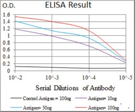 Anti-ACLY, clone 5F8D11 Antibody clone 5F8D11, from mouse