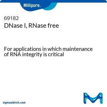 DNase I, RNase free For applications in which maintenance of RNA integrity is critical