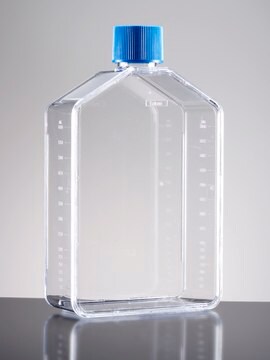 Corning&#174; Falcon&#174; Cell Culture Flask capacity 350&#160;mL, straight neck, graduated, 50 &#8209; 600&#160;mL, cap, blue vented