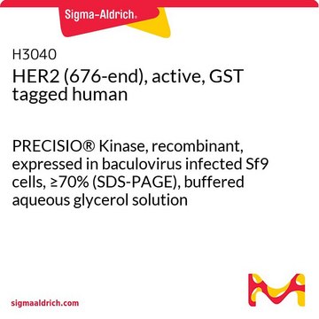 HER2(676-末端)、活性型、GSTタグ融合 ヒト PRECISIO&#174; Kinase, recombinant, expressed in baculovirus infected Sf9 cells, &#8805;70% (SDS-PAGE), buffered aqueous glycerol solution