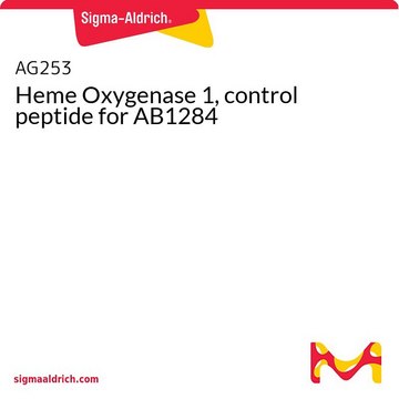 Heme Oxygenase 1, control peptide for AB1284