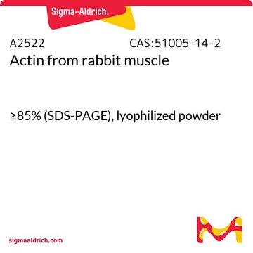 アクチン ウサギ筋肉由来 &#8805;85% (SDS-PAGE), lyophilized powder