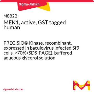 MEK1, active, GST tagged human PRECISIO&#174; Kinase, recombinant, expressed in baculovirus infected Sf9 cells, &#8805;70% (SDS-PAGE), buffered aqueous glycerol solution