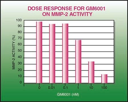 GM6001 MMP抑制剂 The GM6001 MMP Inhibitor controls the biological activity of MMP. This small molecule/inhibitor is primarily used for Biochemicals applications.