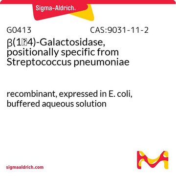 &#946;-(1→4)-ガラクトシダーゼ、位置特異的 肺炎レンサ球菌由来 recombinant, expressed in E. coli, buffered aqueous solution