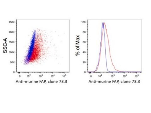 Anticorpo anti-FAP, clone 73.3 clone 73.3, from mouse