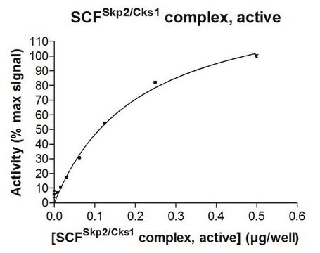 SCF-Skp2 Proteinkomplex, Aktiv, 10 &#181;g Active complex of five (5) full length, recombinant human enzymes: Skp1, Skp2, Cul1, Rbx1 &amp; Cks1. For use in Enzyme Assays. Functions as an E3 ligase in ubiquitination assays.