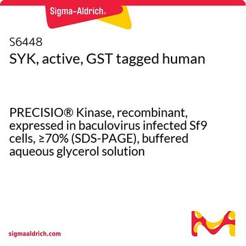 SYK、活性型、GSTタグ融合 ヒト PRECISIO&#174; Kinase, recombinant, expressed in baculovirus infected Sf9 cells, &#8805;70% (SDS-PAGE), buffered aqueous glycerol solution