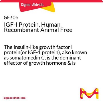 IGF-I 蛋白，不含人重组动物 The Insulin-like growth factor I protein(or IGF-1 protein), also known as somatomedin C, is the dominant effector of growth hormone &amp; is structurally homologous to proinsulin. Manufactured using all non-animal reagents.