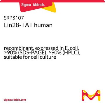 Lin28-TAT human recombinant, expressed in E. coli, &#8805;90% (SDS-PAGE), &#8805;90% (HPLC), suitable for cell culture