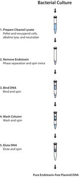 GenElute&#8482;无内毒素质粒中量制备试剂盒 sufficient for 35&#160;purifications