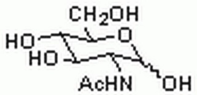 N-acetylo-D-glukozamina An acceptor substrate for galactosyltransferases. Inhibits the lectin WGA and &#946;-N-acetylhexosaminidase (Ki = 430 &#181;M). When added to a medium, it improves the recovery of Haemophilus influenza from sputum.