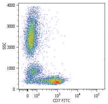 Monoclonal Anti-CD7-FITC antibody produced in mouse clone MEM-186, purified immunoglobulin, buffered aqueous solution