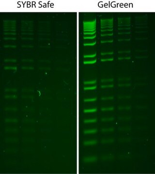 GelGreen&#174; Tinción de ácidos nucleicos X10000 Agua GelGreen is a fluorescent nucleic acid stain designed to replace the highly toxic ethidium bromide (EtBr) for staining dsDNA, ssDNA or RNA in agarose gels or polyacrylamide gels.