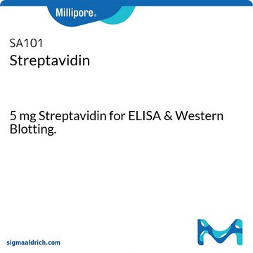 Estreptavidina 5 mg Streptavidin for ELISA &amp; Western Blotting.