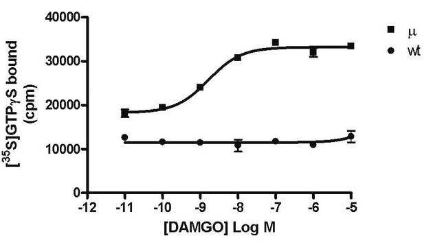 CHEMISCREEN MEMBRANE PREPARATION RECOMBINANT HUMAN µ (Mu) OPIOID RECEPTOR Human Mu / OP3 / MOP / MOR GPCR membrane preparation for GTP&#947;S Binding &amp; Radioligand Binding Assays.