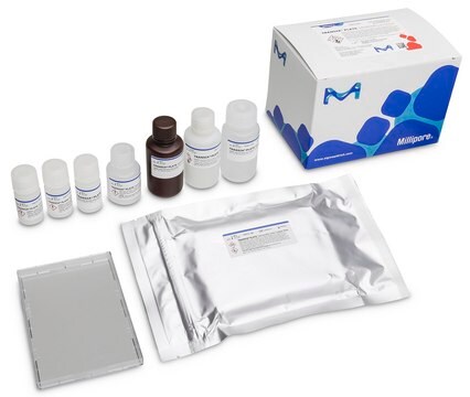 10278 PŁYTKA Salmonella Gold BioControl, ELISA test for detection of Salmonella in food and environmental samples