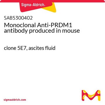 Monoclonal Anti-PRDM1 antibody produced in mouse clone 5E7, ascites fluid