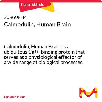 Calmodulin, Human Brain Calmodulin, Human Brain, is a ubiquitous Ca2+-binding protein that serves as a physiological effector of a wide range of biological processes. Purified from human brain.