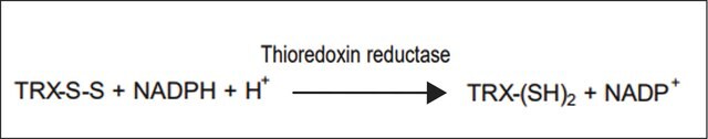 Thioredoxin-Reduktase aus E. coli ammonium sulfate suspension, &gt;25&#160;units/mg protein (Bradford)