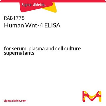 Human Wnt-4 ELISA for serum, plasma and cell culture supernatants