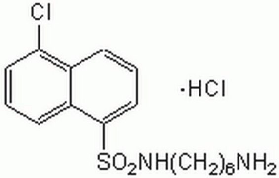 W-7, Hydrochlorid&nbsp;– CAS 61714-27-0&nbsp;– Calbiochem A cell-permeable and reversible calmodulin antagonist that inhibits myosin light chain kinase (IC&#8325;&#8320; = 51 &#181;M) and Ca2+-calmodulin-dependent phosphodiesterase (IC&#8325;&#8320; = 28 &#181;M).