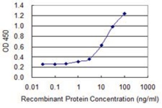 Monoclonal Anti-DUSP3 antibody produced in mouse clone 2C4, purified immunoglobulin, buffered aqueous solution