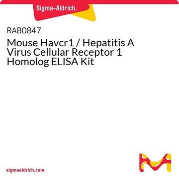 Mouse Havcr1 / Hepatitis A Virus Cellular Receptor 1 Homolog ELISA Kit