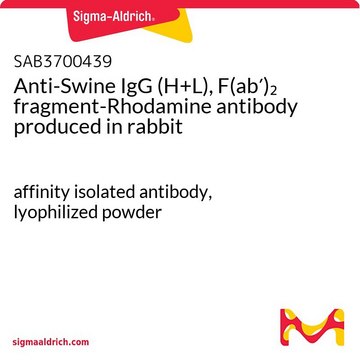 Anti-Swine IgG (H+L), F(ab&#8242;)2 fragment-Rhodamine antibody produced in rabbit affinity isolated antibody, lyophilized powder