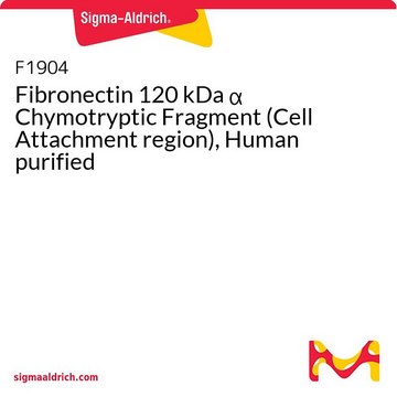 Fibronectin 120 kDa &#945; Chymotryptic Fragment (Cell Attachment region), Human purified