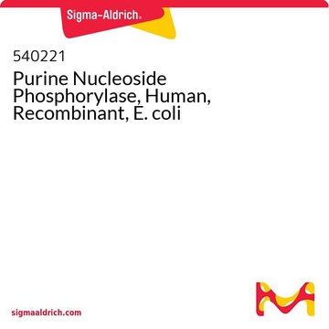 Purin-Nukleosid-Phosporylase, Human, rekombinant, E. coli