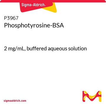 リン酸化チロシン-BSA 2&#160;mg/mL, buffered aqueous solution