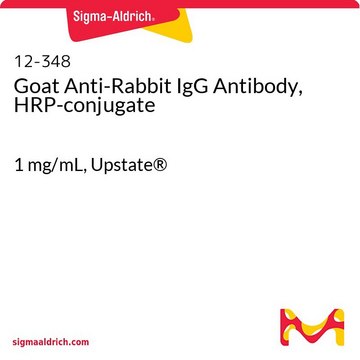 Anticorps de chèvre anti-IgG de lapin, conjugué à de la HRP 1&#160;mg/mL, Upstate&#174;