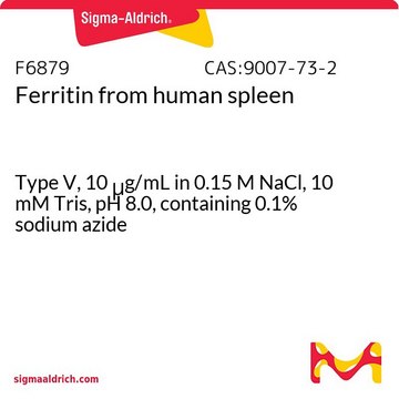 フェリチン from human spleen Type V, 10&#160;&#956;g/mL in 0.15 M NaCl, 10 mM Tris, pH 8.0, containing 0.1% sodium azide