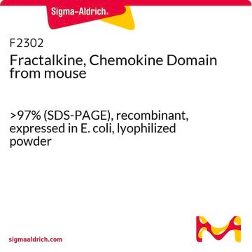 フラクタルカイン, ケモカインドメイン マウス由来 &gt;97% (SDS-PAGE), recombinant, expressed in E. coli, lyophilized powder