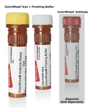 ColorWheel&#174; Antibody-Ready Alpha Fluor 488 Dye for use with ColorWheel&#174; Dye-ready Antibodies (Required, sold separately)