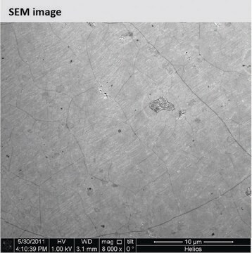 Monolayer graphene film 1 in x 1 in on copper foil, with PMMA coating, avg. no. of layers, 1