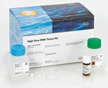 Kit High Pure RNA Tissue sufficient for 50&#160;isolation(s), suitable for RT-PCR, suitable for Northern blotting