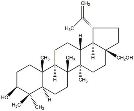 SREBP-Verarbeitungsinhibitor, Betulin, CAS-Nr. 473-98-3, Calbiochem The SREBP Processing Inhibitor, Betulin, also referenced under CAS 473-98-3, controls the biological activity of SCAP (SREBP cleavage activating protein). This small molecule/inhibitor is primarily used for Cell Signaling applications.