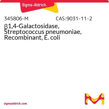 &#946;1,4- Galactosidase, Streptococcus pneumoniae, rekombinant, E. coli