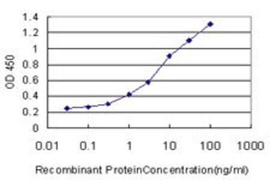 Monoclonal Anti-PPIL2 antibody produced in mouse clone 2E11, purified immunoglobulin, buffered aqueous solution