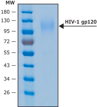 HIV-1 GP120蛋白 recombinant, expressed in HEK 293 cells