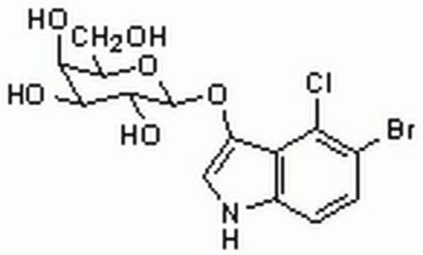 5-溴-4-氯-3-吲哚-&#946;-D-半乳糖苷 A chromogenic substrate for &#946;-galactosidase. Used to distinguish between recombinant and non-recombinant plasmids carrying &#946;-galactosidase gene (e.g. pUR222).