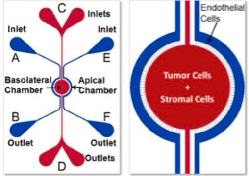 SynVivo SynTumour 3D cancer mode assay kit, IMN2 radial configuration, 8 um pillars