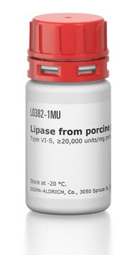 リパーゼ ブタ膵臓由来 Type VI-S, &#8805;20,000&#160;units/mg protein, lyophilized powder