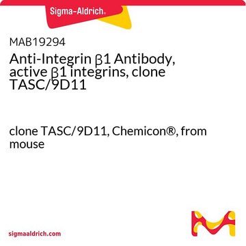 Anti-Integrin &#946;1 Antibody, active &#946;1 integrins, clone TASC/9D11 clone TASC/9D11, Chemicon&#174;, from mouse