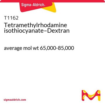 Tetramethylrhodamine isothiocyanate–Dextran average mol wt 65,000-85,000