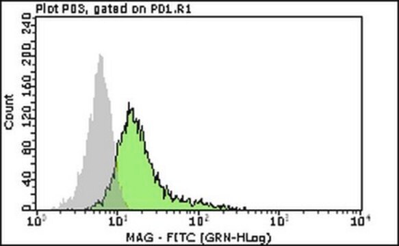 Milli-Mark&#174;-Anti-Myelin-assoziiertes-Glykoprotein-FITC-Antikörper, Klon&nbsp;513 clone 513, Milli-Mark&#174;, from mouse