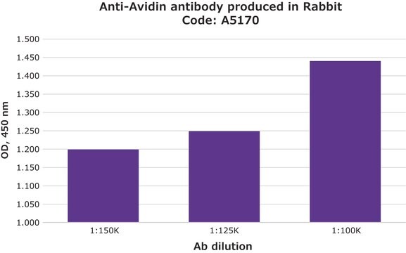 Anti-Avidin antibody produced in rabbit whole antiserum